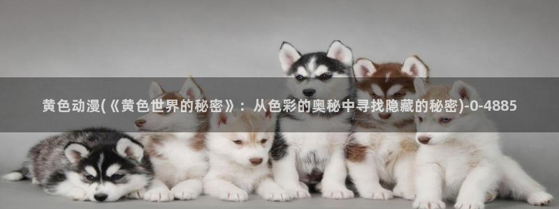 动漫同人