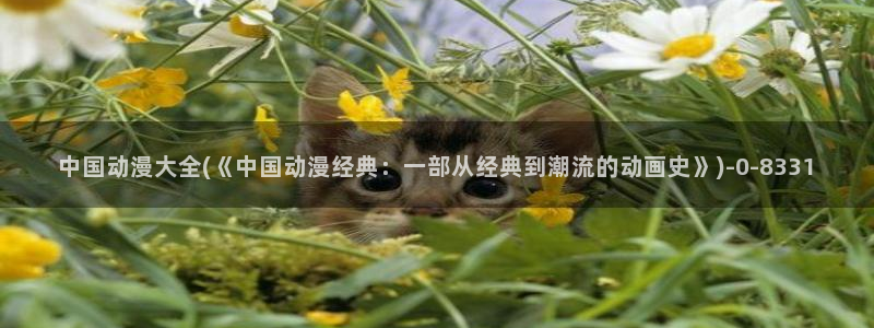 耽美动漫h：中国动漫大全(《中国动漫经典：一部从经典到潮流的动画史》)