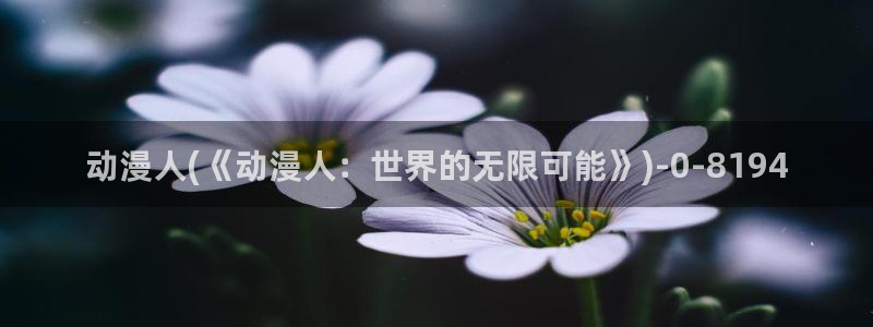 成年动漫
