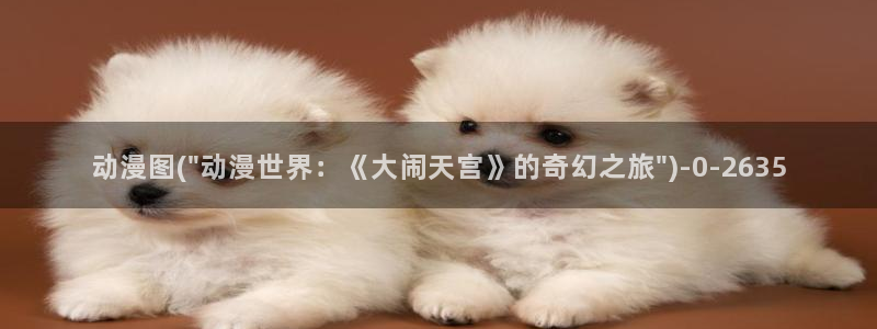 完美世界动漫